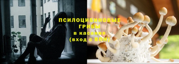 а пвп мука Белокуриха